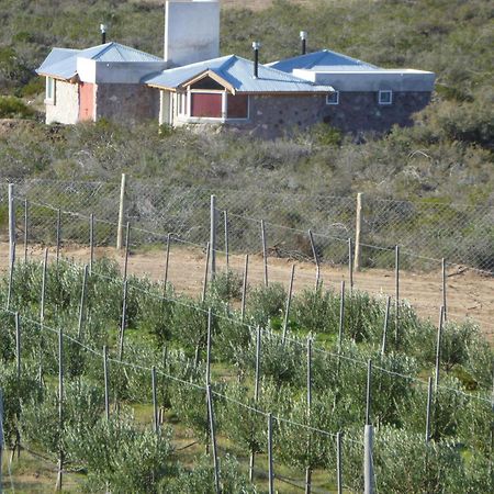 La Calandria B&B - Destilería de Lavandas Puerto Madryn Exterior foto