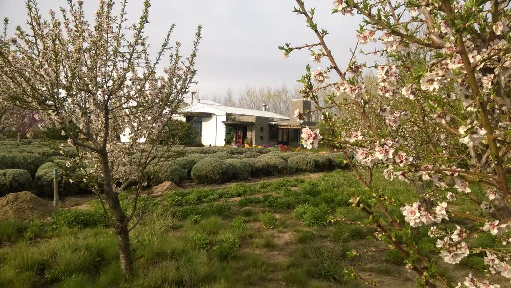 La Calandria B&B - Destilería de Lavandas Puerto Madryn Exterior foto